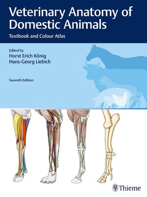 cover image of Veterinary Anatomy of Domestic Animals